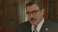 Blue Bloods